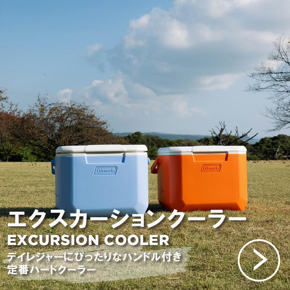 エクスカーション