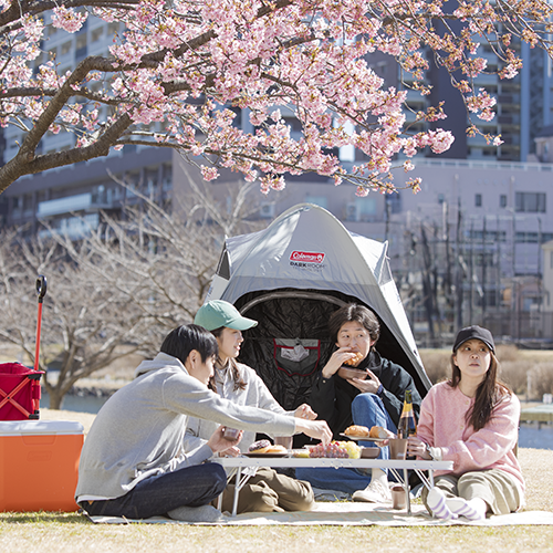 お花見・ピクニックにおすすめのアイテム