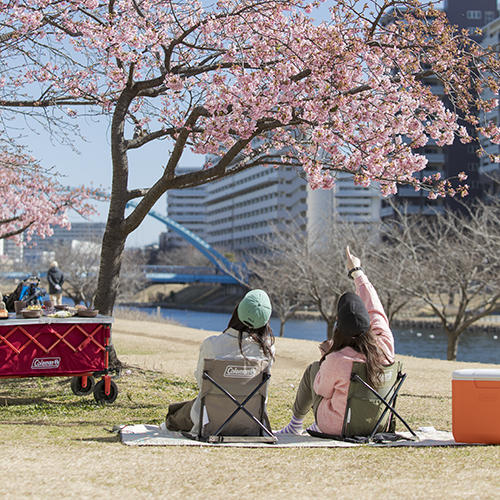 お花見・ピクニックにおすすめのアイテム