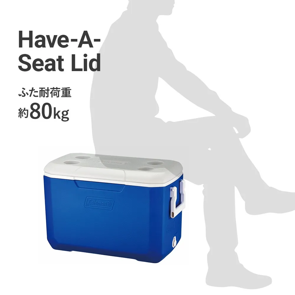 ポリライト48QT（ブルー）