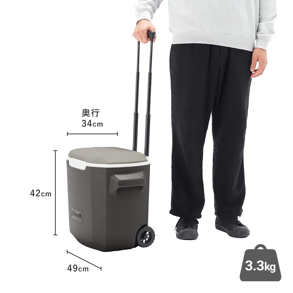 ホイールクーラー/28QT（ライトグレー）