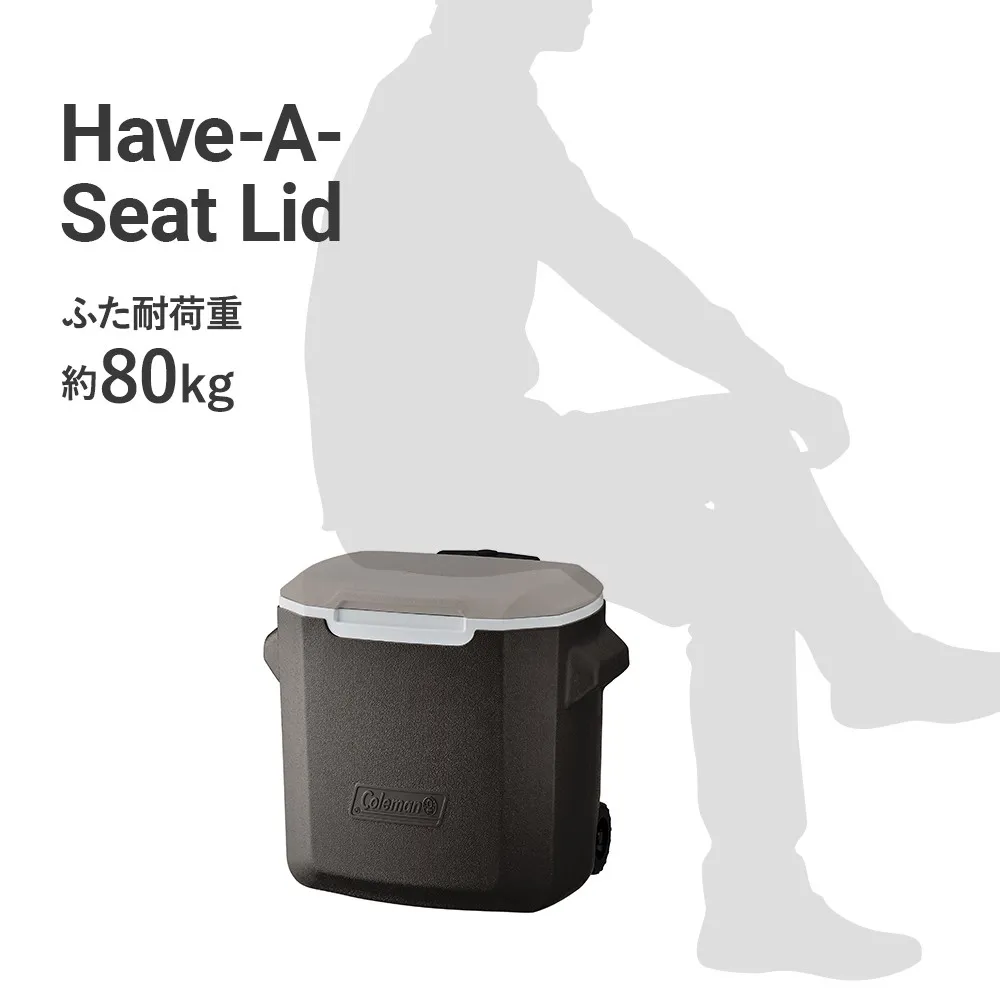 ホイールクーラー/28QT（ライトグレー）