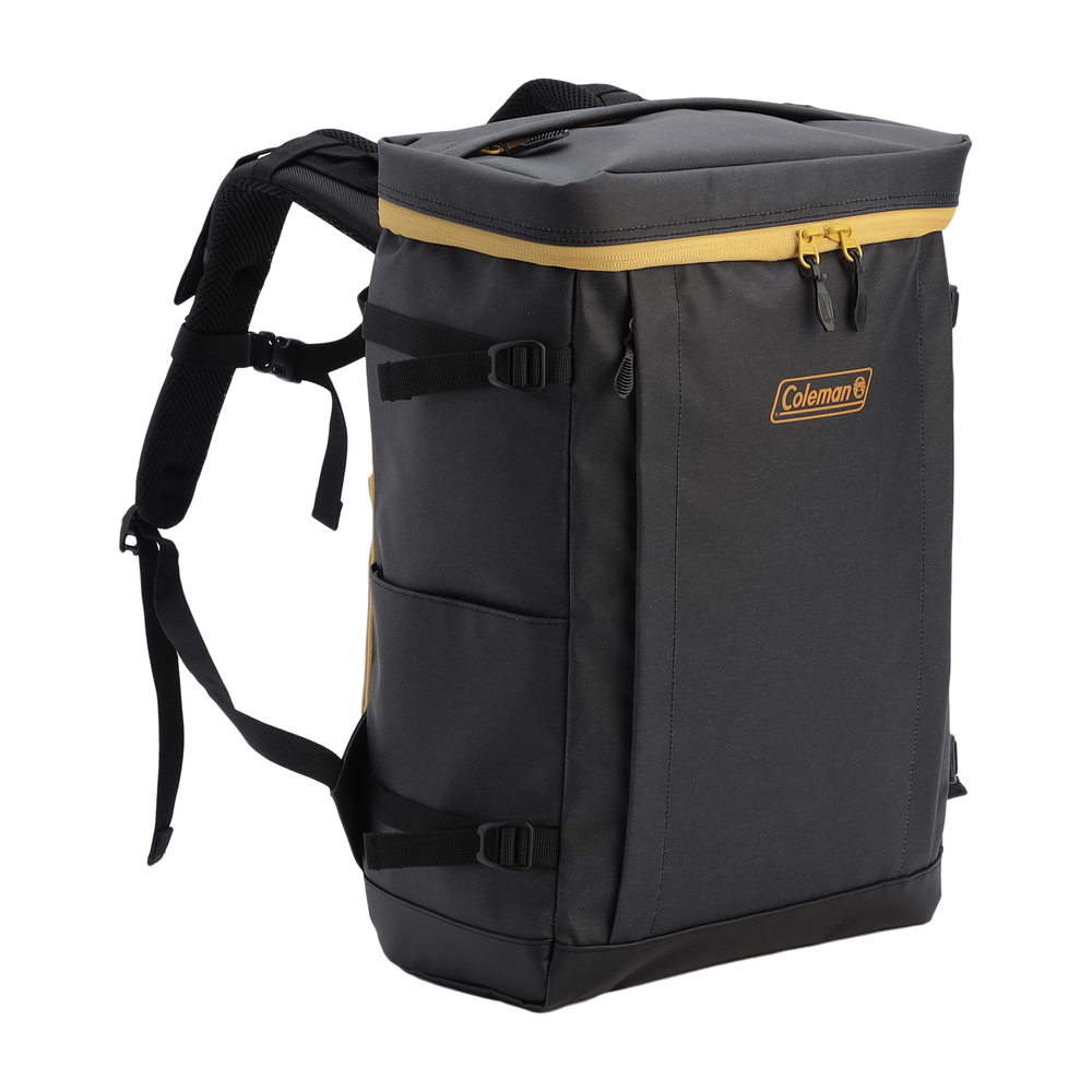 シールド30（ヘザーブラック/ゴールド）