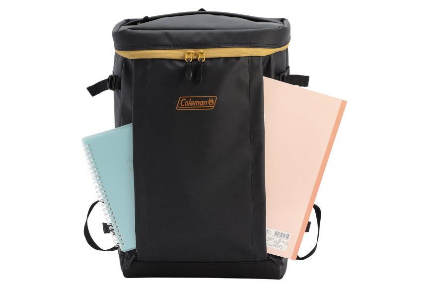 シールド30（ヘザーブラック/ゴールド）