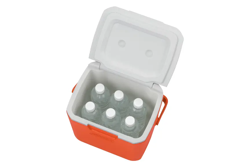 Take 9 (Orange)