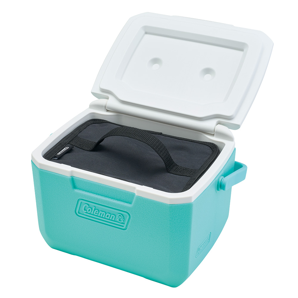 保冷バッグ S/ボックス（ブラック）